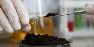 Female chemist in white protective gloves hold test tube against chemistry lab background closeup. Express research crop soil content of beneficial and harmful substances concept