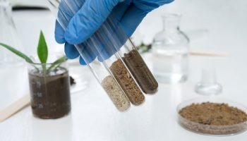 Laboratory Test of Soil and Rock